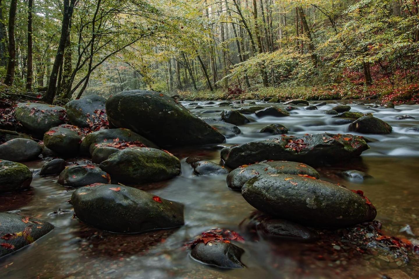 Romantic Mtn Cabin Hot Tub & Jacuzzi Views Sevierville Eksteriør billede
