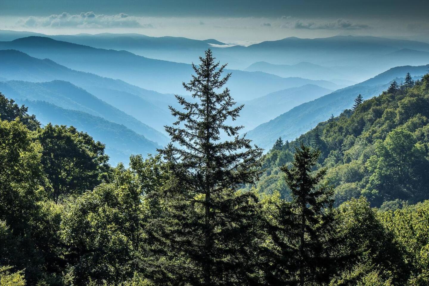 Romantic Mtn Cabin Hot Tub & Jacuzzi Views Sevierville Eksteriør billede
