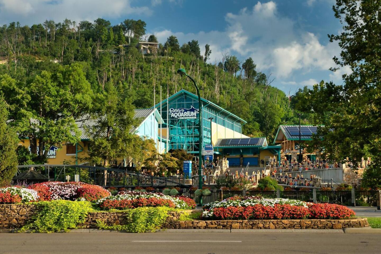Romantic Mtn Cabin Hot Tub & Jacuzzi Views Sevierville Eksteriør billede