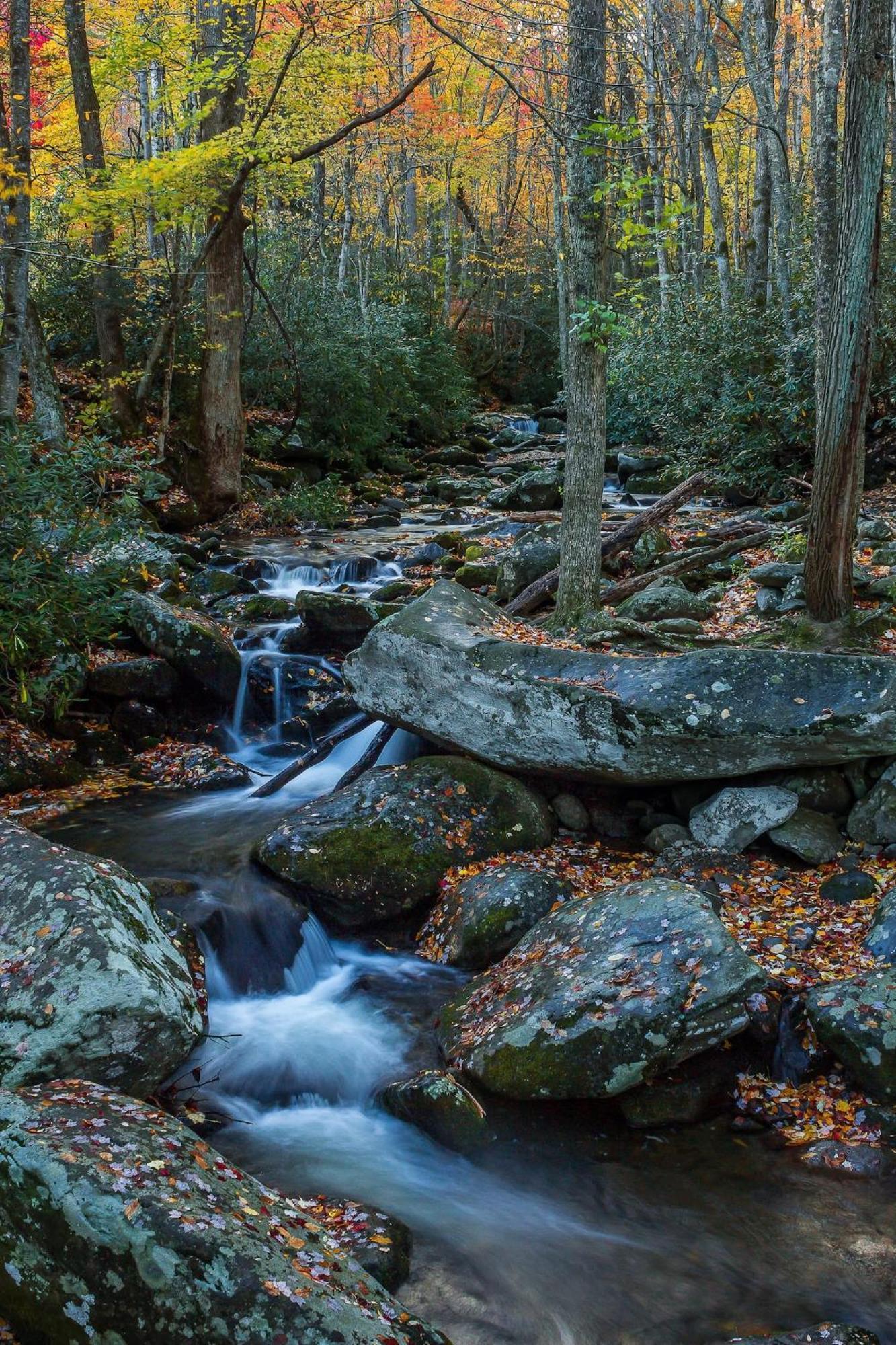 Romantic Mtn Cabin Hot Tub & Jacuzzi Views Villa Sevierville Eksteriør billede