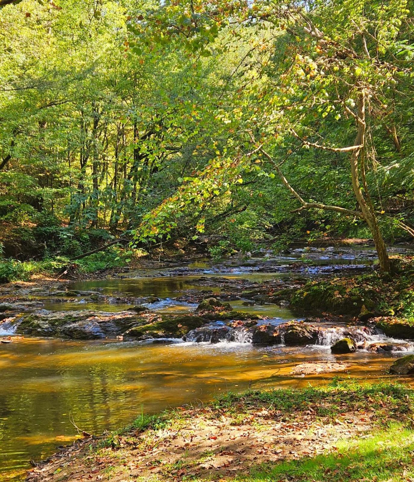 Romantic Mtn Cabin Hot Tub & Jacuzzi Views Sevierville Eksteriør billede